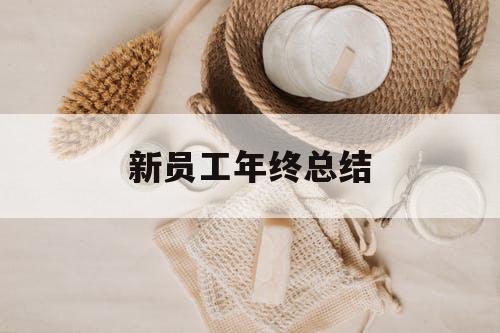 新员工年终总结