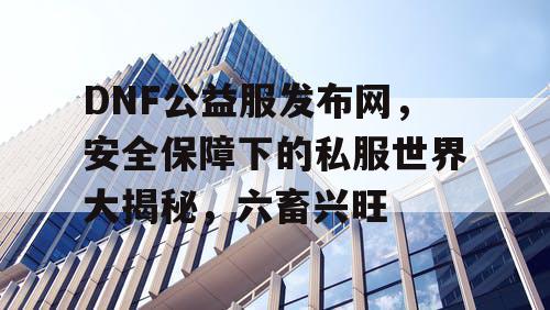DNF公益服发布网，安全保障下的私服世界大揭秘，六畜兴旺