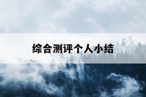 综合测评个人小结