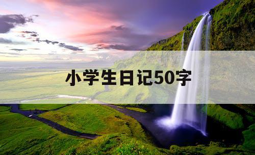 小学生日记50字