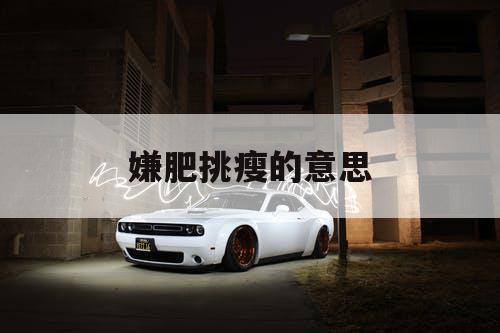 嫌肥挑瘦的意思