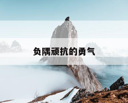 负隅顽抗的勇气