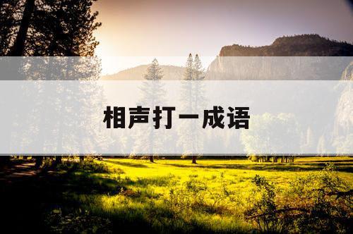 相声打一成语