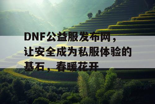 DNF公益服发布网，让安全成为私服体验的基石，春意盎然
