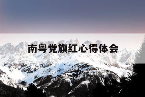 南粤党旗红心得体会
