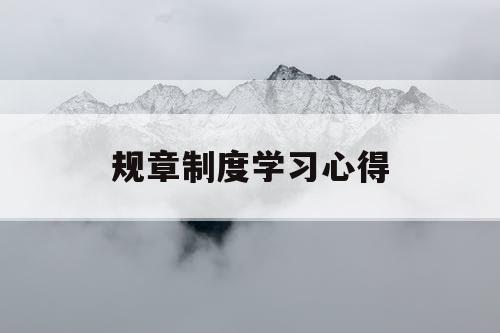 规章制度学习心得