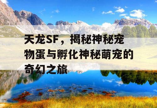 天龙SF,揭秘神秘宠物蛋与孵化神秘萌宠的奇幻之旅 天龙SF,揭秘神秘宠物蛋与孵化神秘萌宠的奇幻之旅