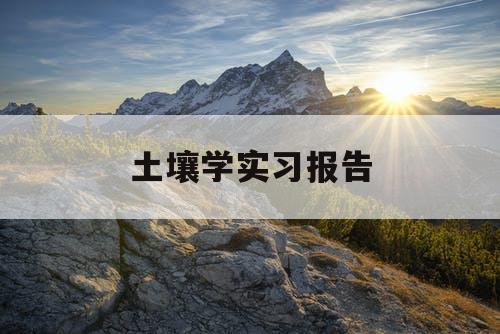 土壤学实习报告