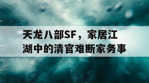 天龙八部，家居江湖中的清官难断家务事