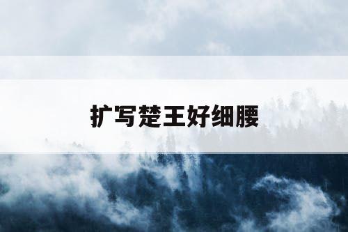 扩写楚王好细腰