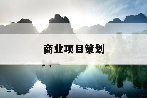 商业项目策划