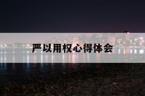 严以用权心得体会