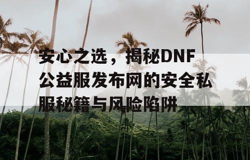 安心之选，揭秘DNF公益服发布网的安全私服秘籍与风险陷阱