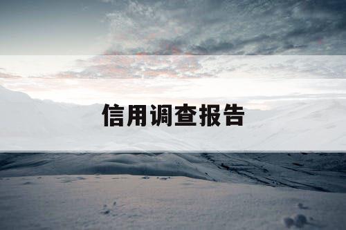 信用调查报告