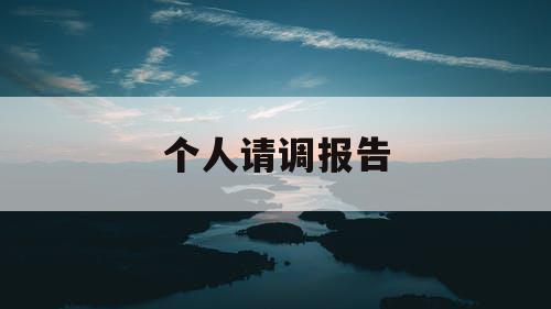 个人请调报告