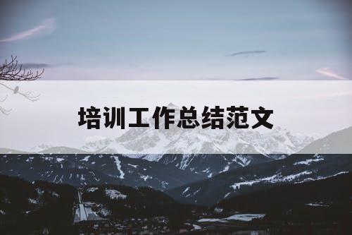 培训工作总结范文