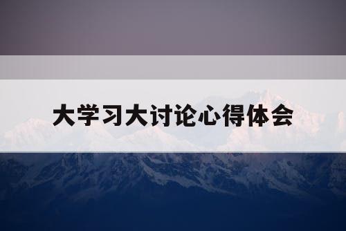 大学习大讨论心得体会