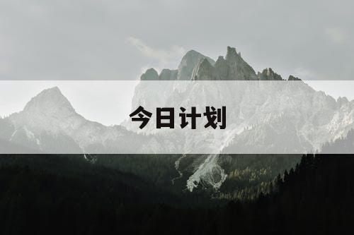 今日计划