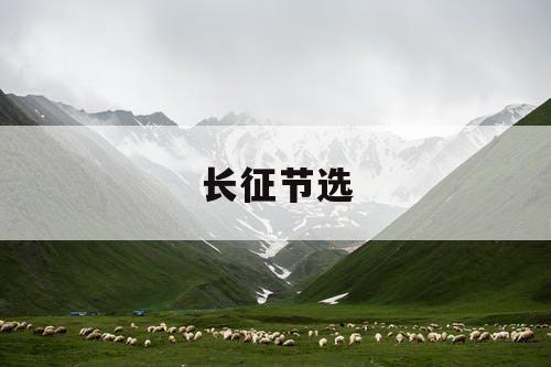 长征节选