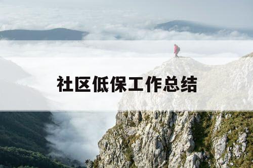 社区低保工作总结