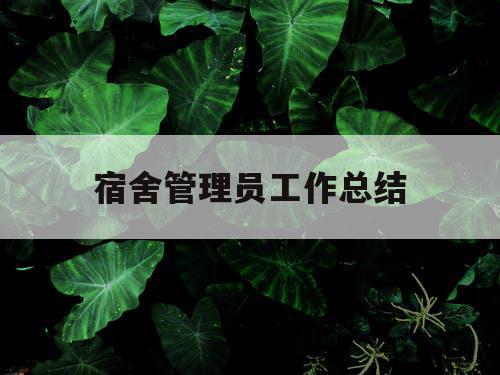 宿舍管理员工作总结
