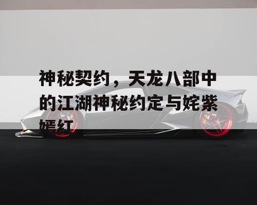 神秘契约与姹紫嫣红的天龙八部