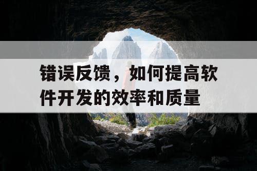 错误反馈，如何提高软件开发的效率和质量