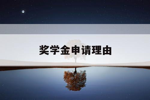 奖学金申请理由