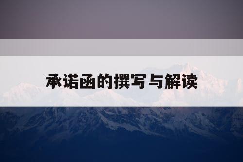 承诺函的撰写与解读