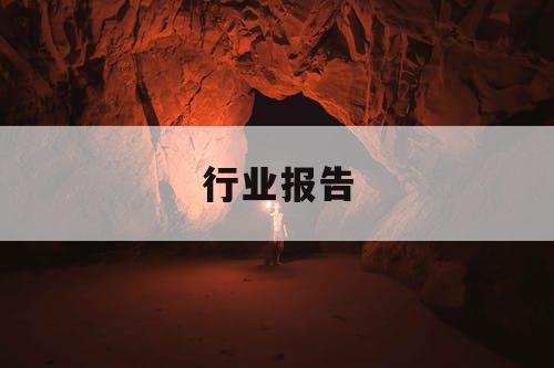 行业报告