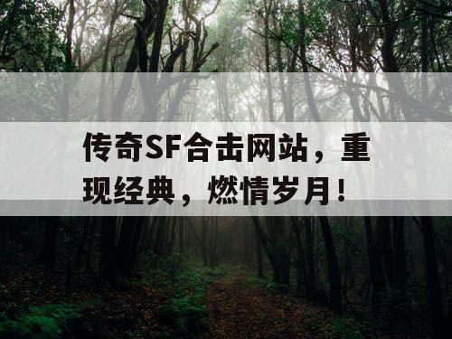 传奇SF合击网站，重现经典，燃情岁月！
