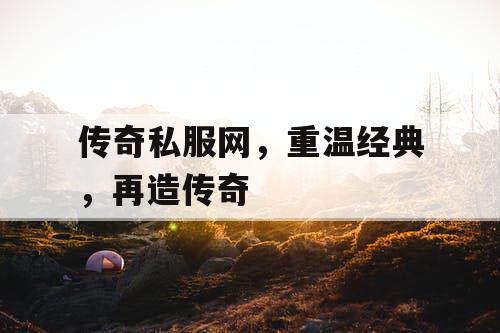 传奇私服网，重温经典，再造传奇
