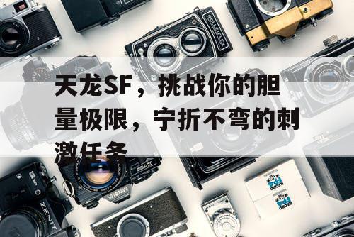 天龙SF，挑战你的胆量极限，宁折不弯的刺激任务