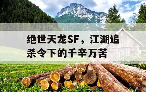 绝世天龙SF，江湖追杀令下的千辛万苦