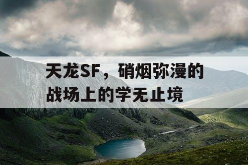 天龙SF，硝烟弥漫的战场上的学无止境