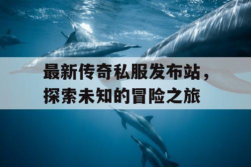 最新传奇私服发布站，探索未知的冒险之旅