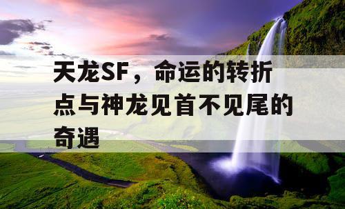 天龙SF：命运的转动与神秘的龙的身影