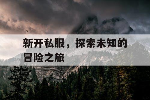 新开私服,探索未知的冒险之旅 新开私服,探索未知的冒险之旅