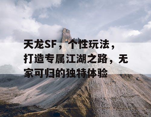 天龙SF,个性玩法,打造专属江湖之路,无家可归的独特体验 天龙SF,个性玩法,打造专属江湖之路,无家可归的独特体验