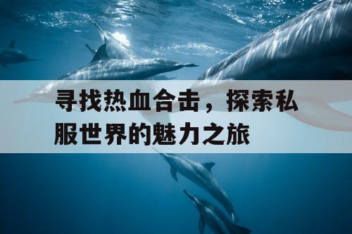 寻找热血合击，探索私服世界的魅力之旅