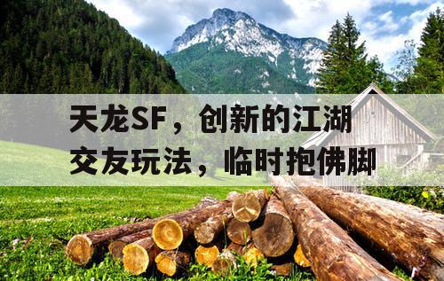 天龙SF：创新的江湖交友体验，临时抱佛脚