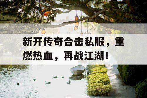 新开传奇合击私服，重燃热血，再战江湖！
