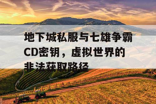 地下城私服与七雄争霸CD密钥，虚拟世界的非法获取路径