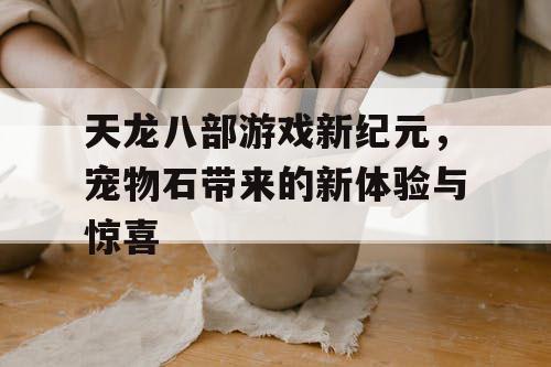 天龙八部游戏新纪元，宠物石带来的新体验与惊喜