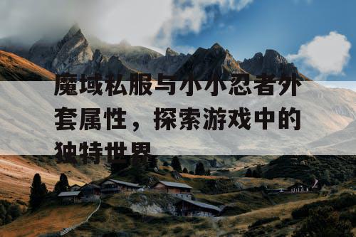 魔域私服与小小忍者外套属性，探索游戏中的独特世界