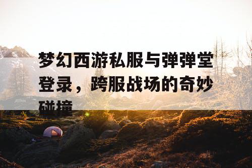 梦幻西游私服与弹弹堂登录，跨服战场的奇妙碰撞