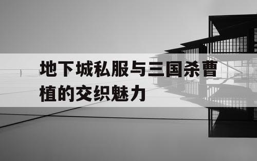 地下城私服与三国杀曹植的交织魅力 地下城私服与三国杀曹植的交织魅力