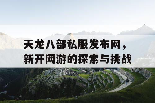 天龙八部私服发布网，新开网游的探索与挑战