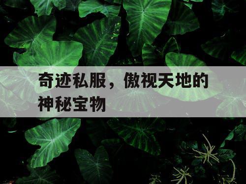 奇迹私服,傲视天地的神秘宝物 奇迹私服,傲视天地的神秘宝物