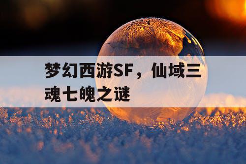梦幻西游SF，仙域三魂七魄之谜
